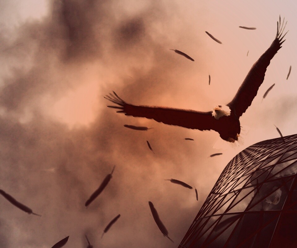 Орлиный полет обои