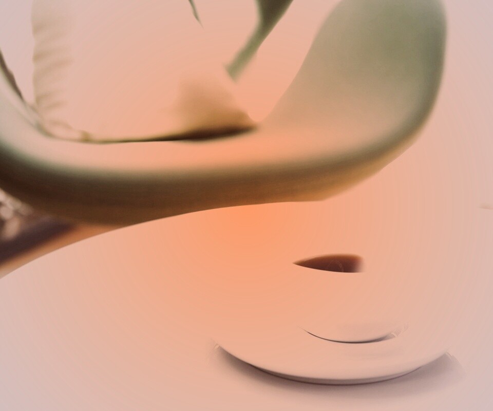 Чашка утреннего кофе обои