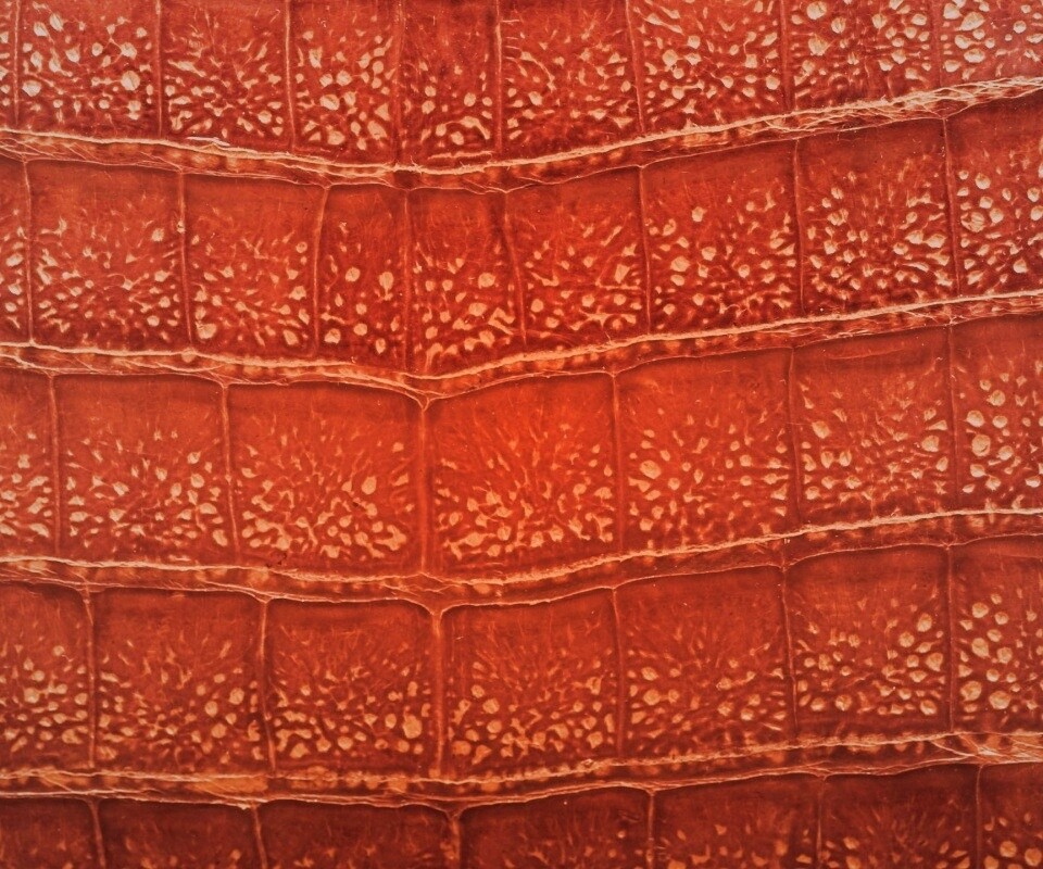 Текстура крокодильей кожи обои