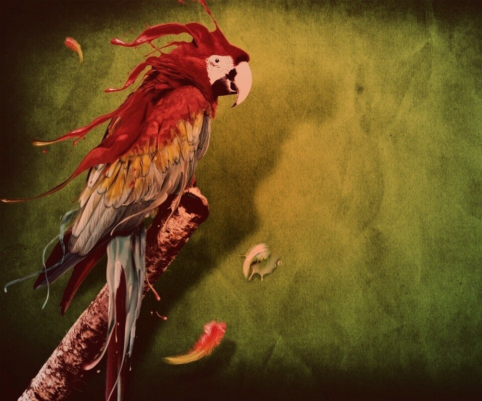 Попугай на ветке обои