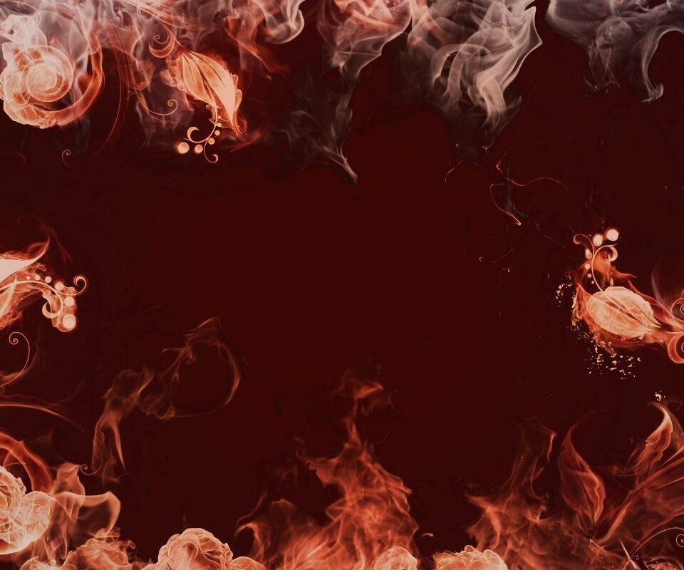 Огненные цветы обои