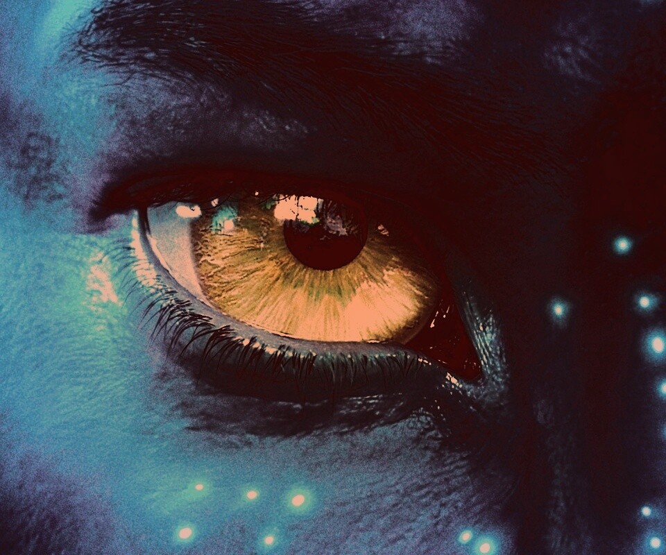 Смотрит прямо в душу обои