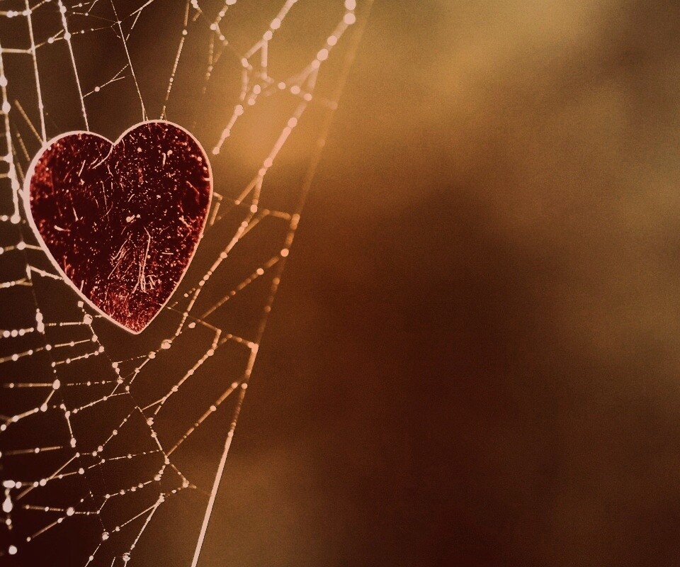 Запутавшаяся любовь.. обои