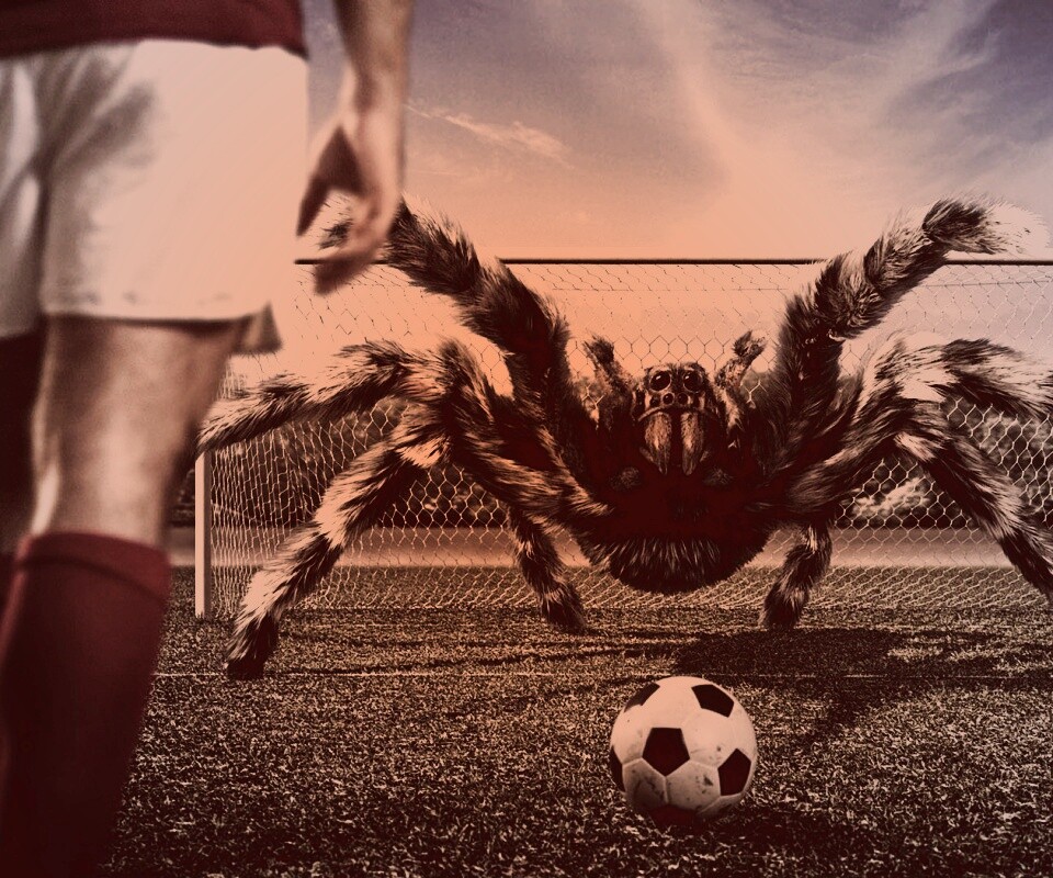 Вратарь обои