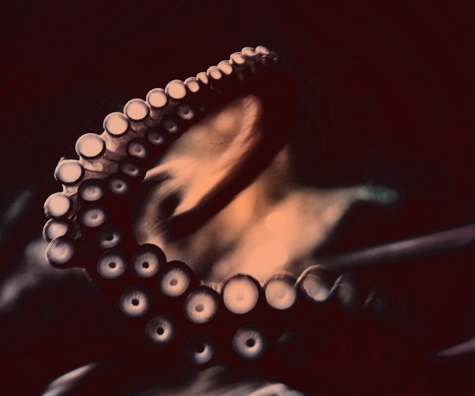 Щупальце обои