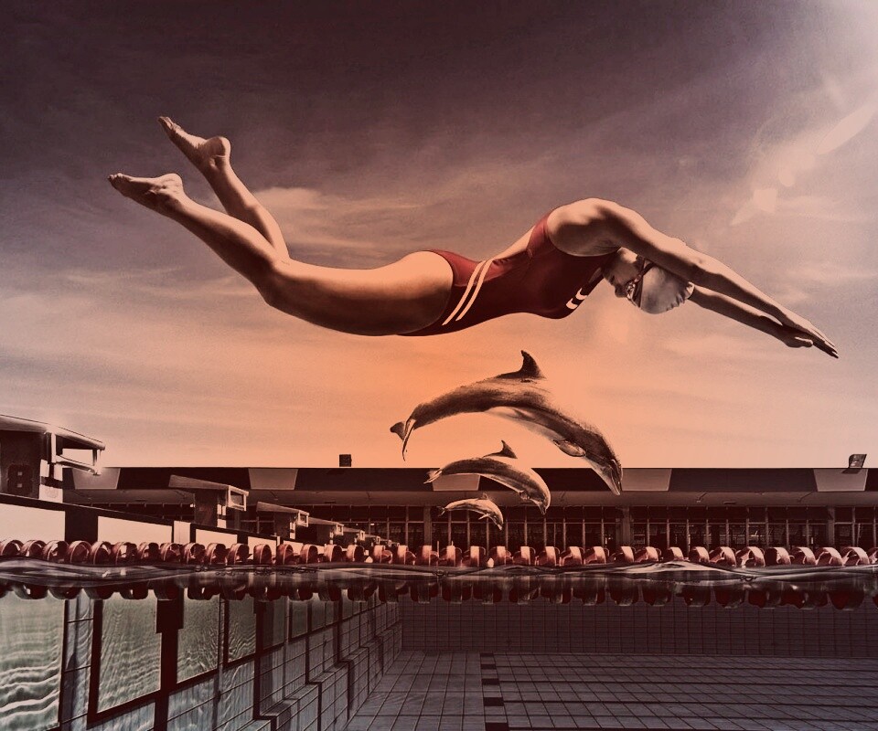 Соревнование обои