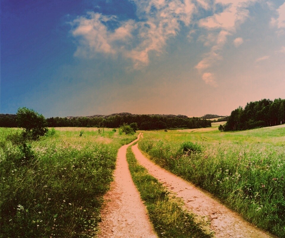 Дорога через луг обои