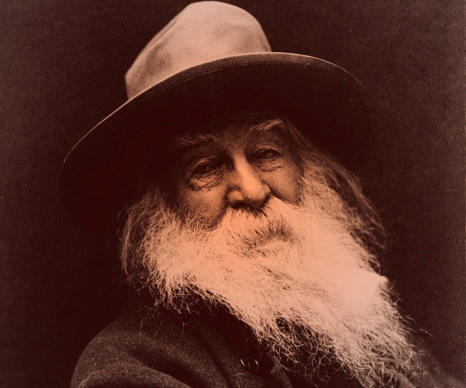 Уолт Уитмен обои