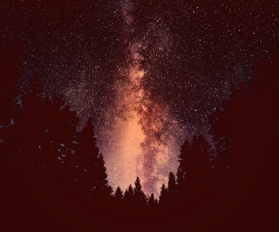 Лесной пейзаж обои