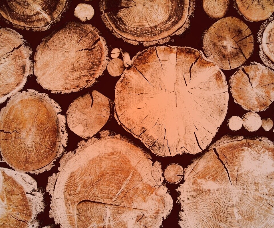 Древесный спил обои