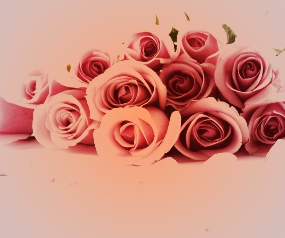 Букет роз обои