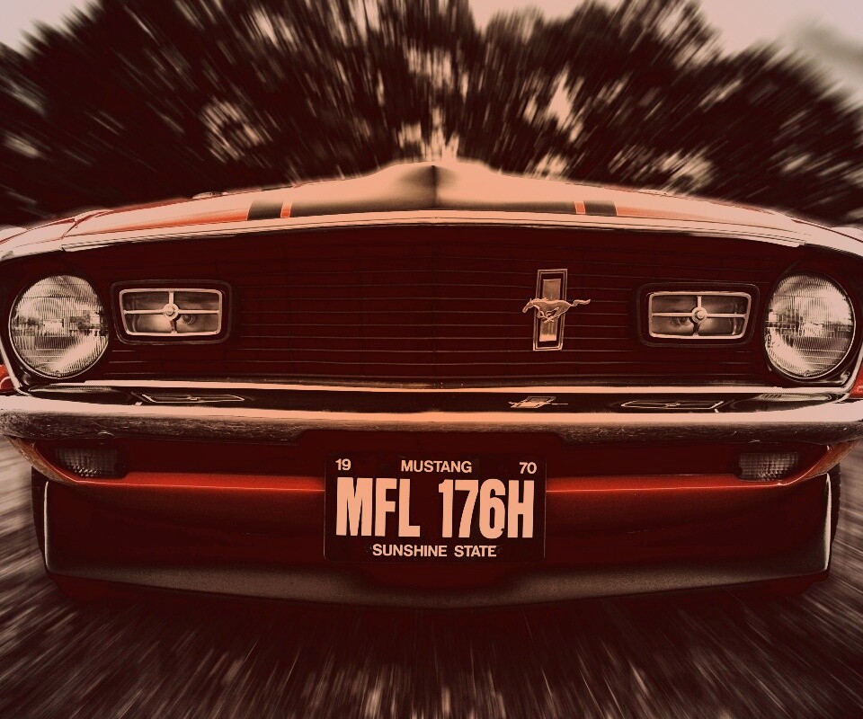 Мустанг обои