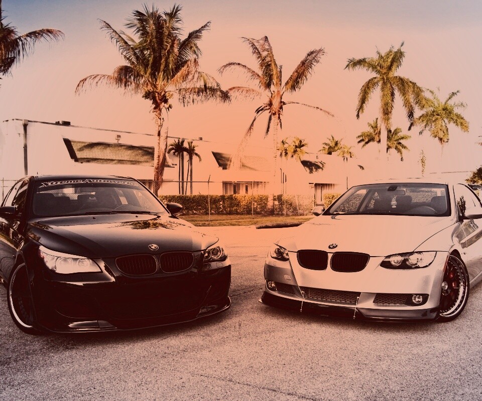 Две БМВ обои