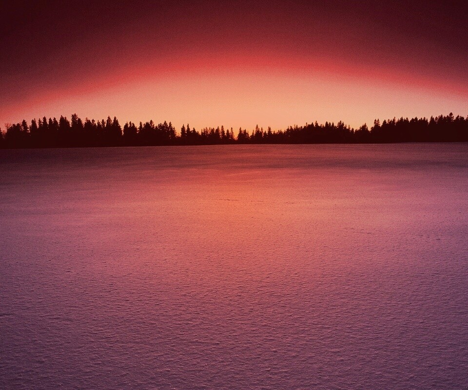 Восход над заснеженным лесом обои