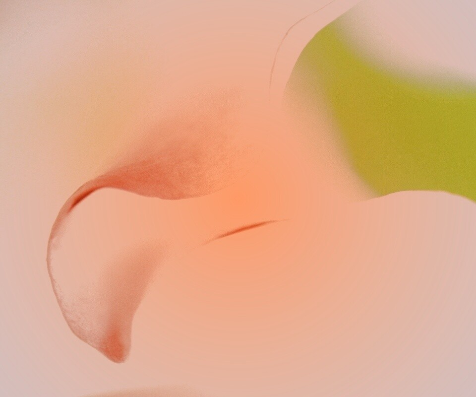 Оттенки природы обои