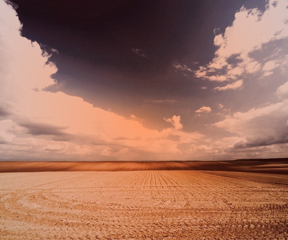 Незасеянное поле обои