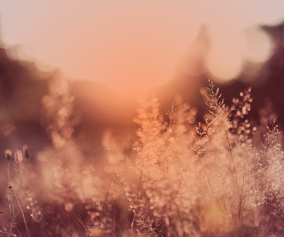 Посмотри на этот мир обои