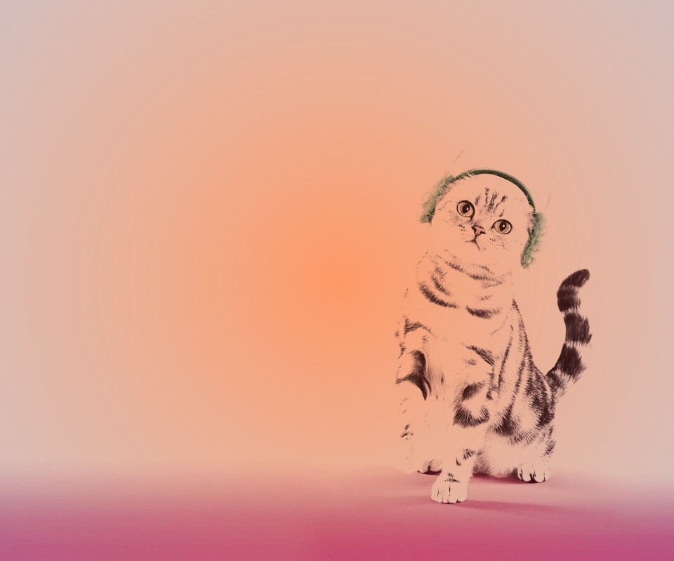 Кот в зеленых наушниках обои