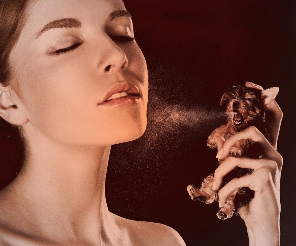 Соблюдайте гигиену обои