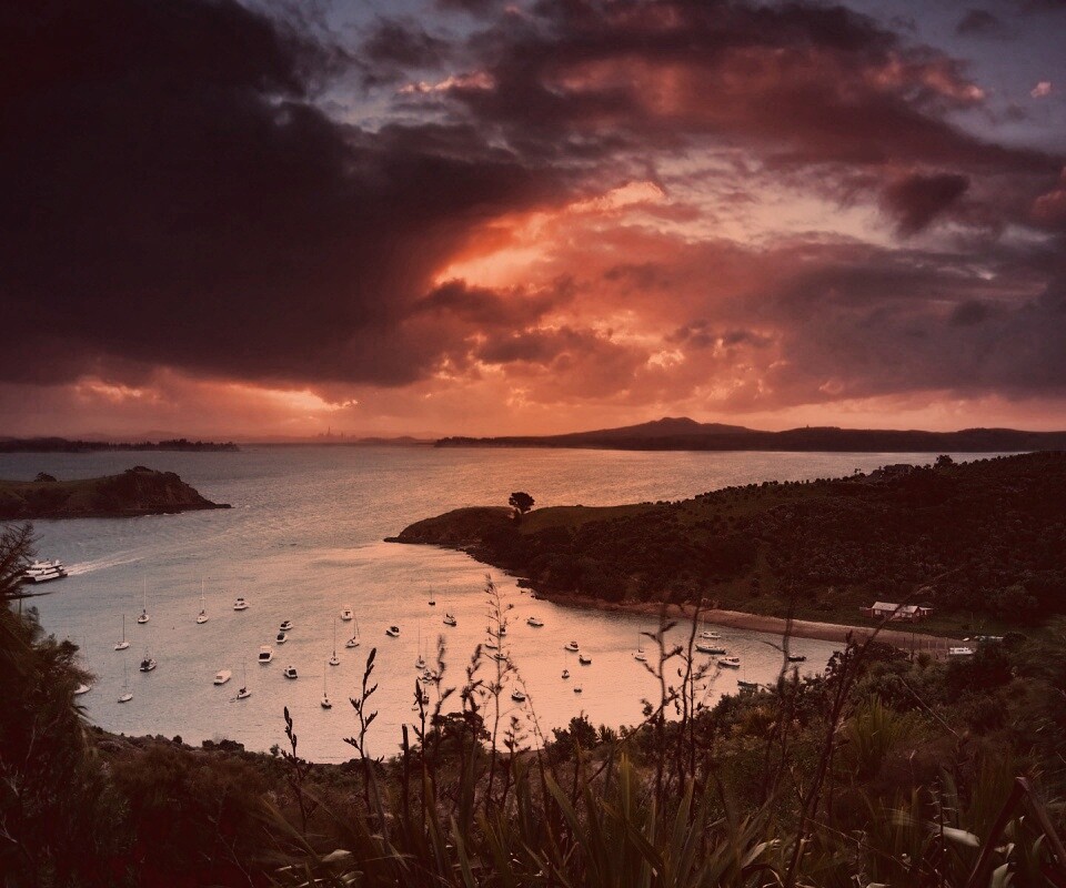 Waiheke Island, New Zealand обои