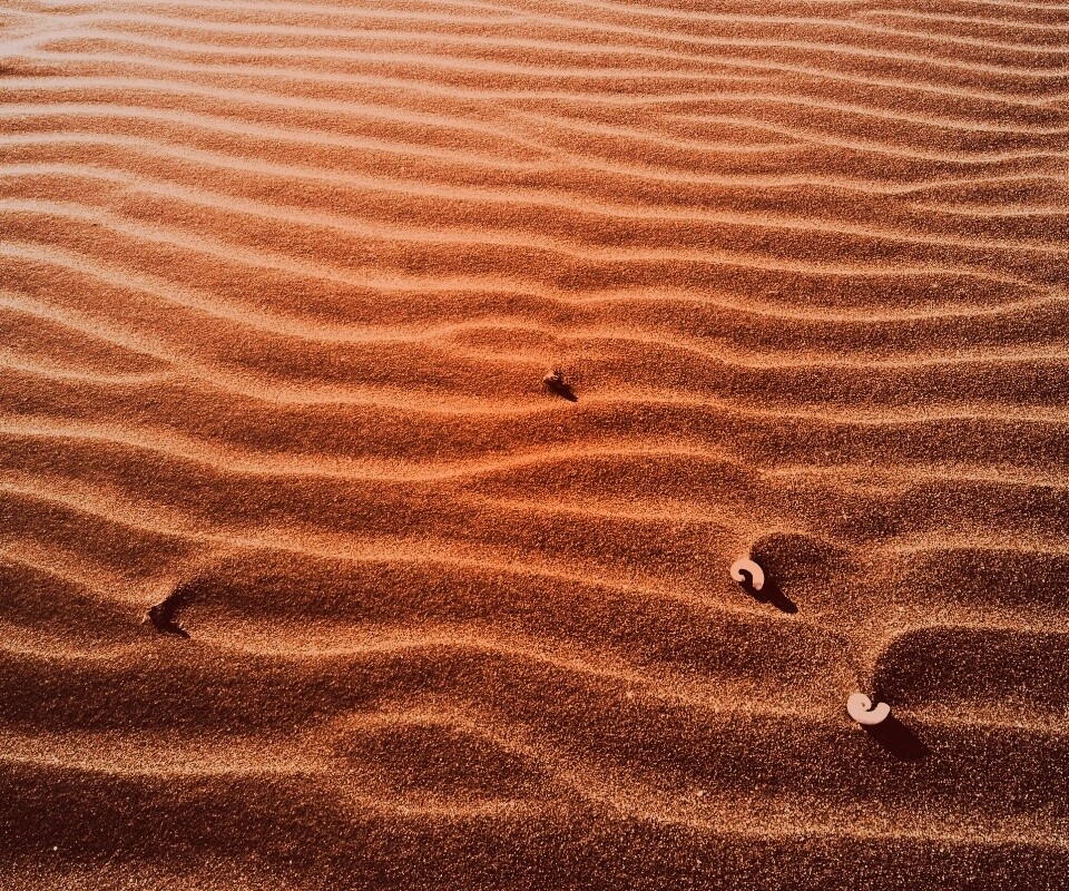 Песок и раковины обои