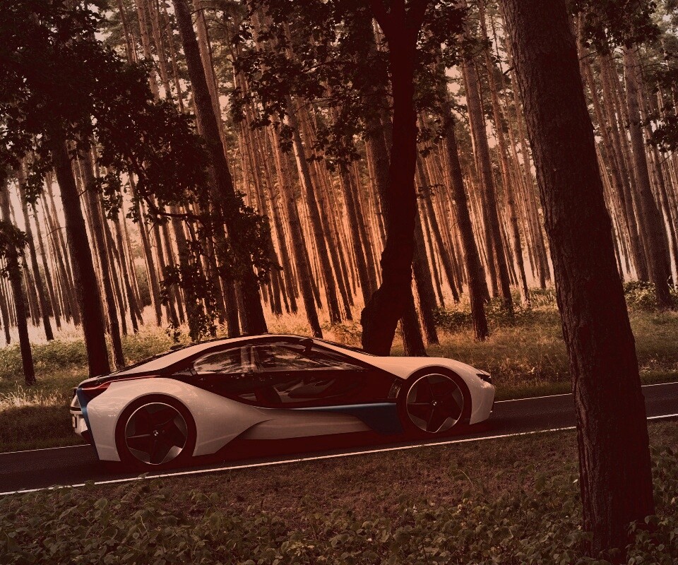 Спорткар BMW на лесной дороге обои