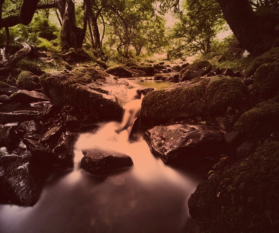 Речной поток в лесу обои