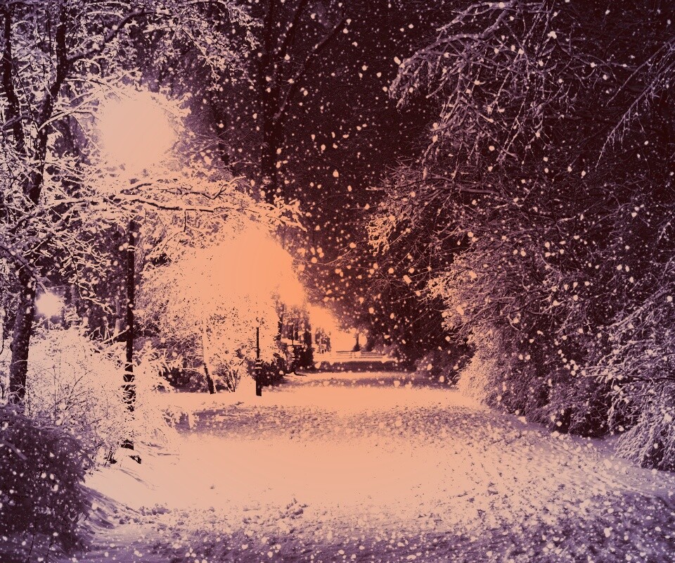 Зимняя аллея обои