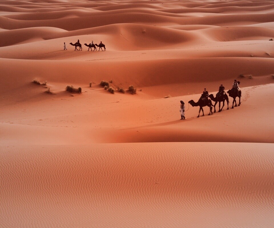 Караваны пустыни обои