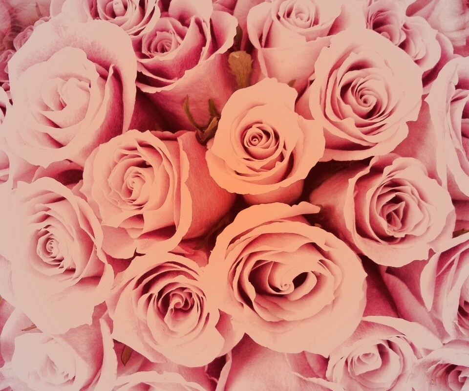 Букет роз обои
