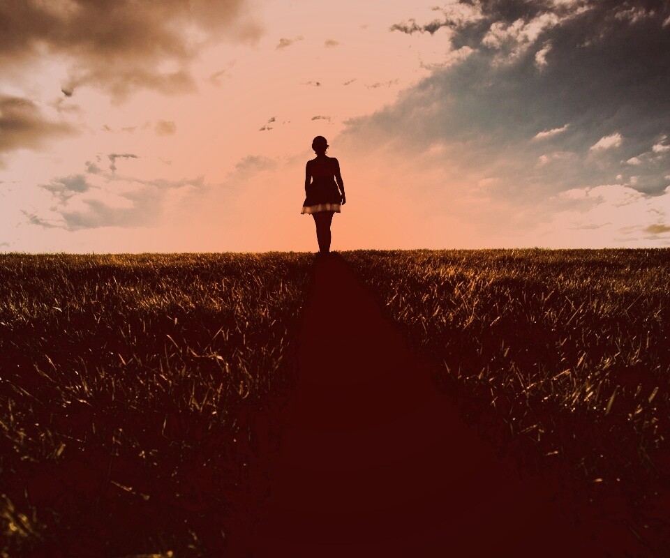 Силуэт девочки на поле обои