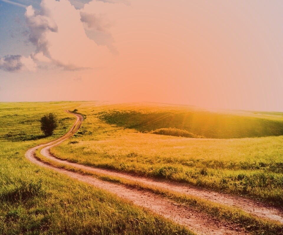 Дорога через луг обои