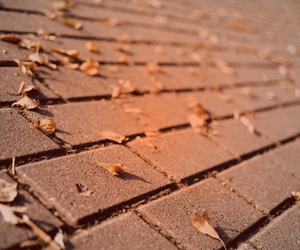 Тротуар обои