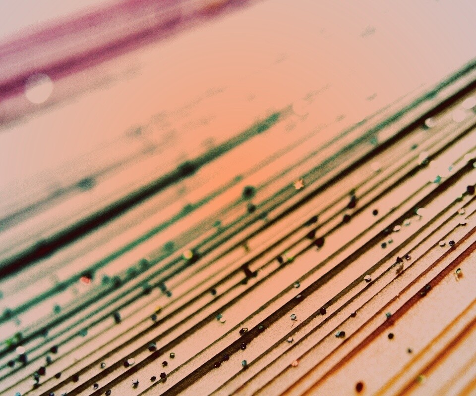 Рассыпавшийся бисер обои