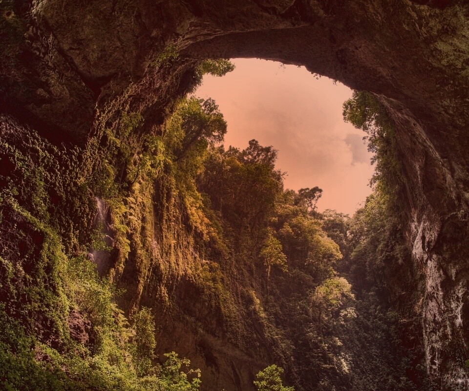 Заросшее ущелье обои