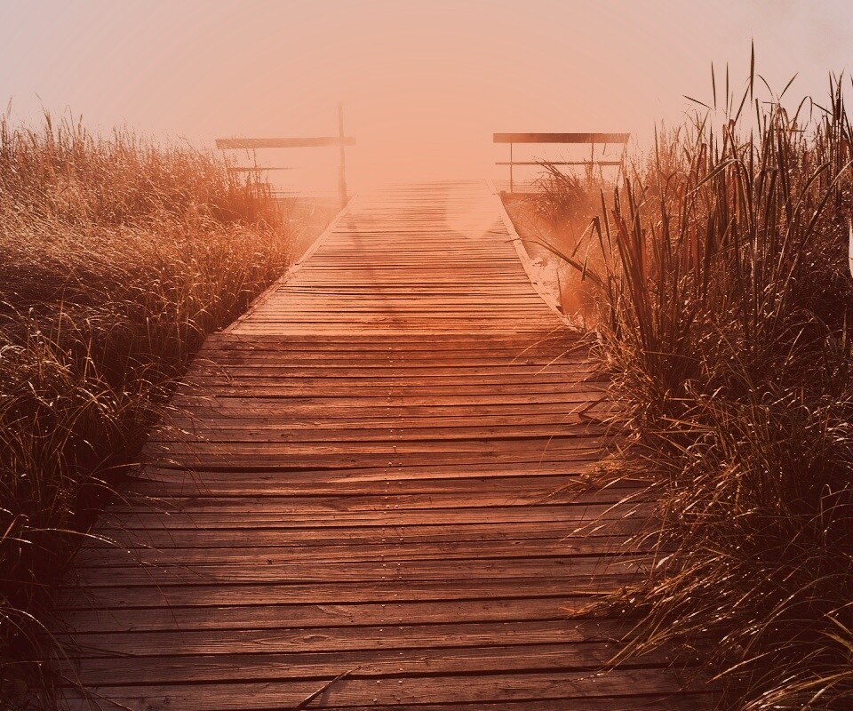 Выход к реке обои