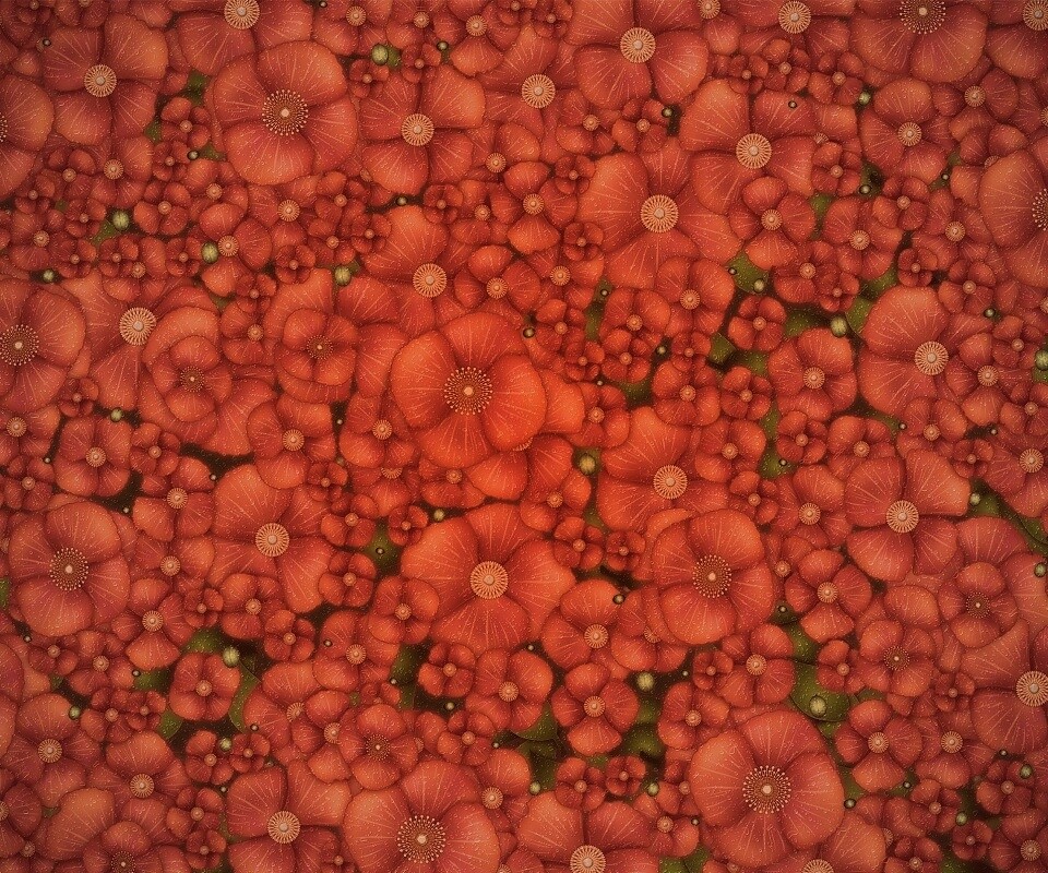 Рисунко с красными цветами обои