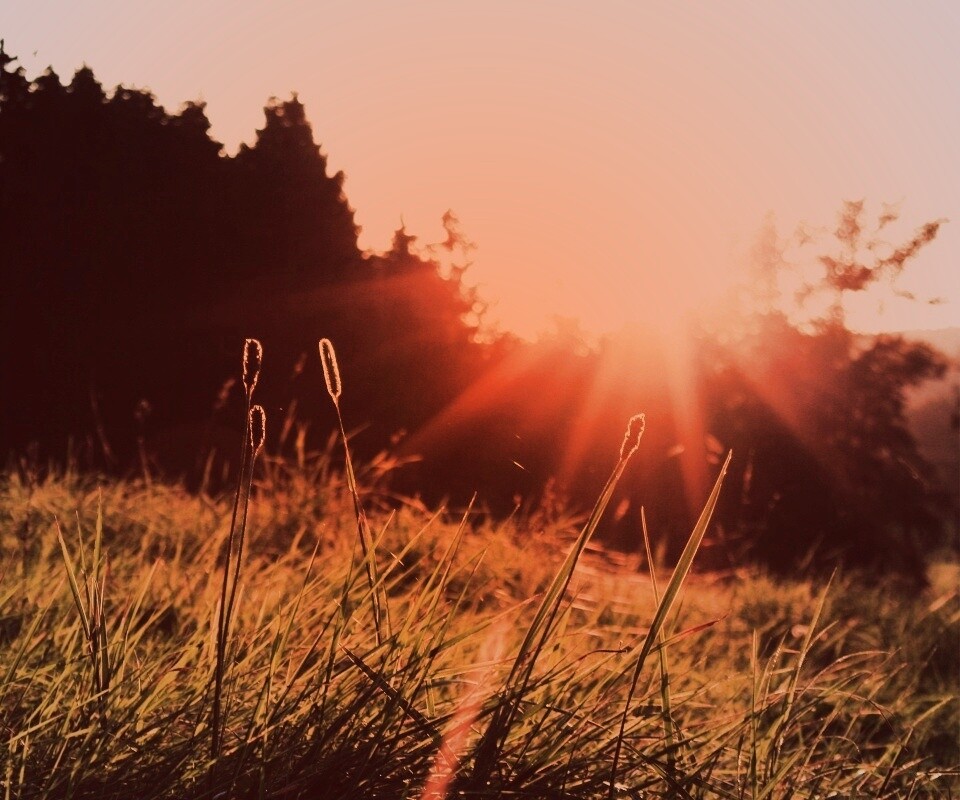 Красота природы обои