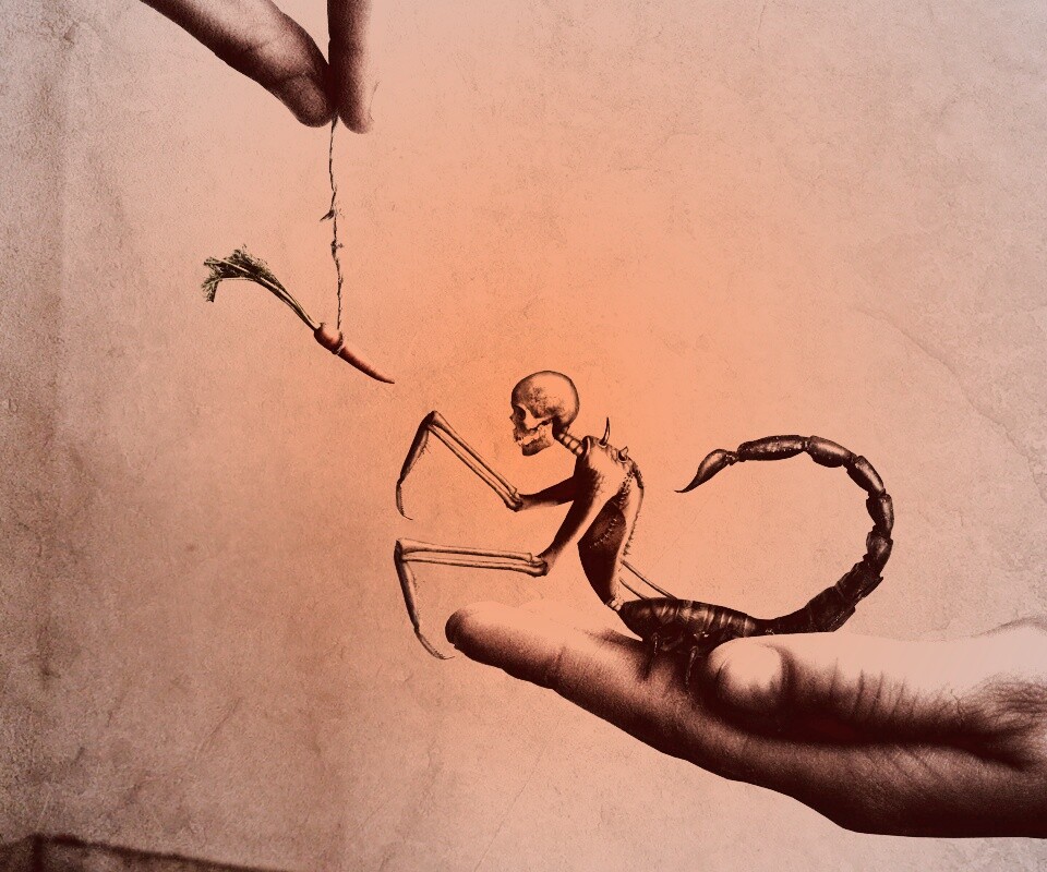 Кормёжка смерти обои