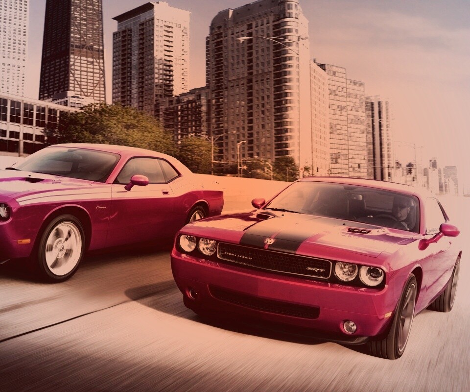 Два розовых мускулкара обои