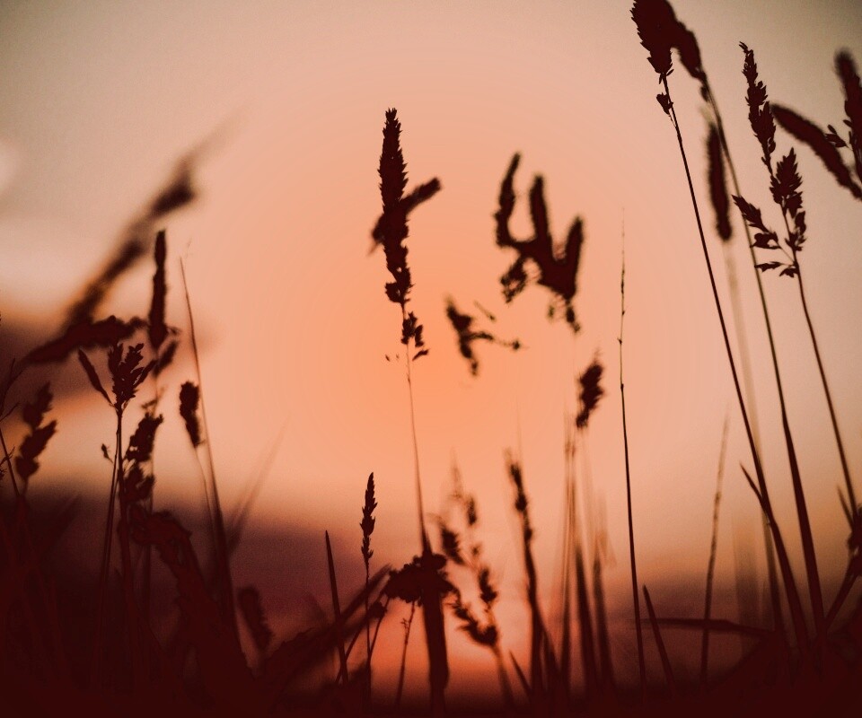 Дыхание природы обои