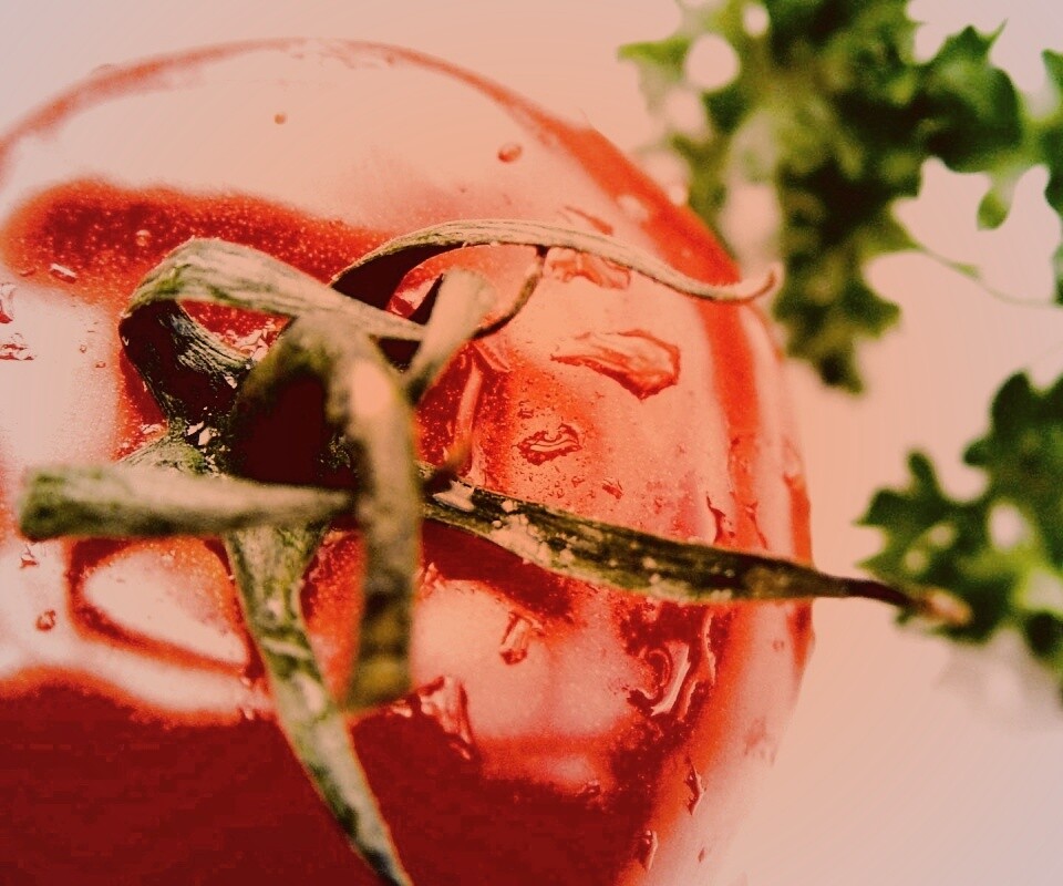 Свежая помидорка обои