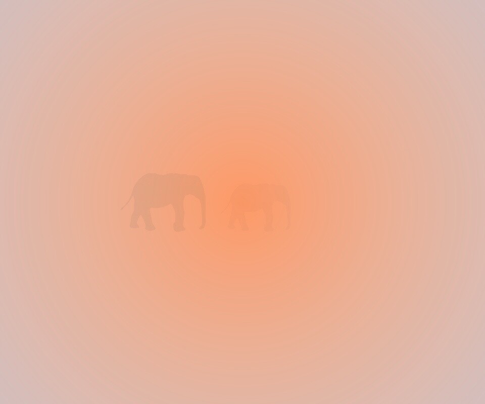 Вереница слонов обои