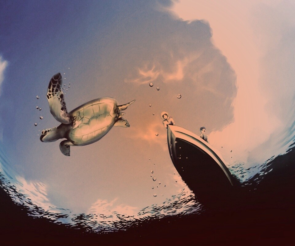 Катер и водная черепаха обои