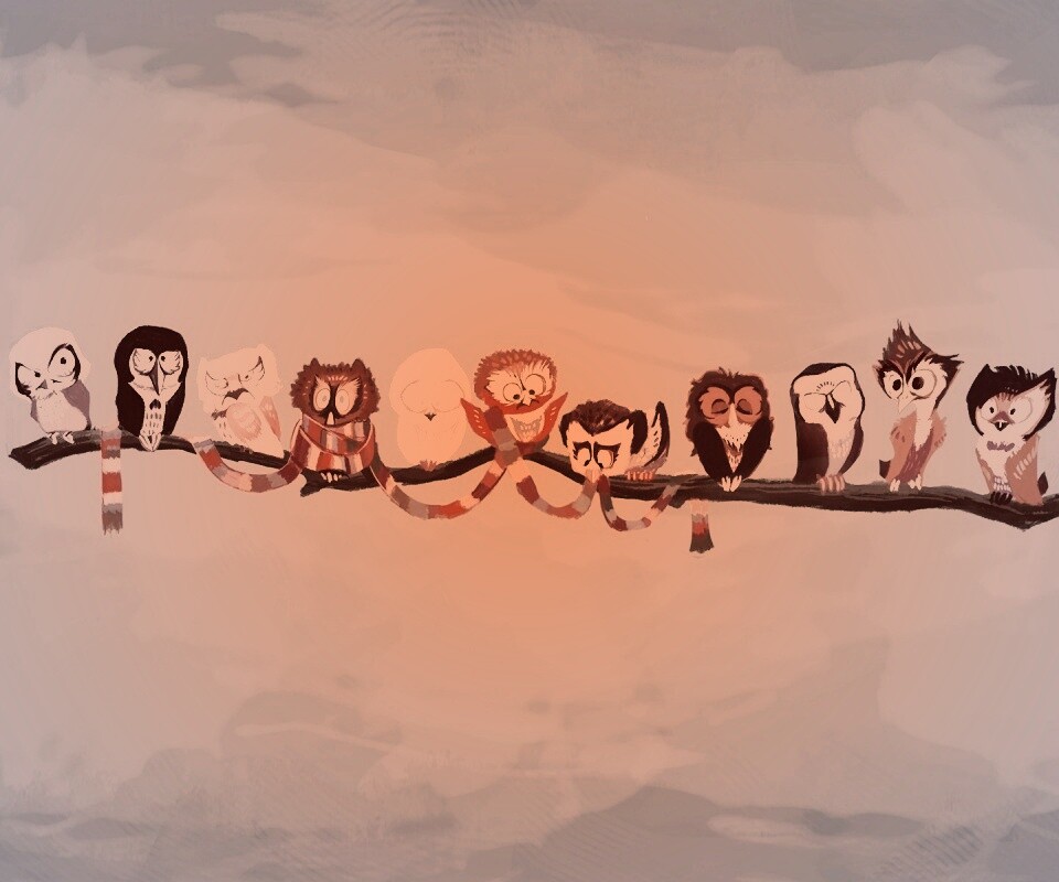 Совы на ветке обои