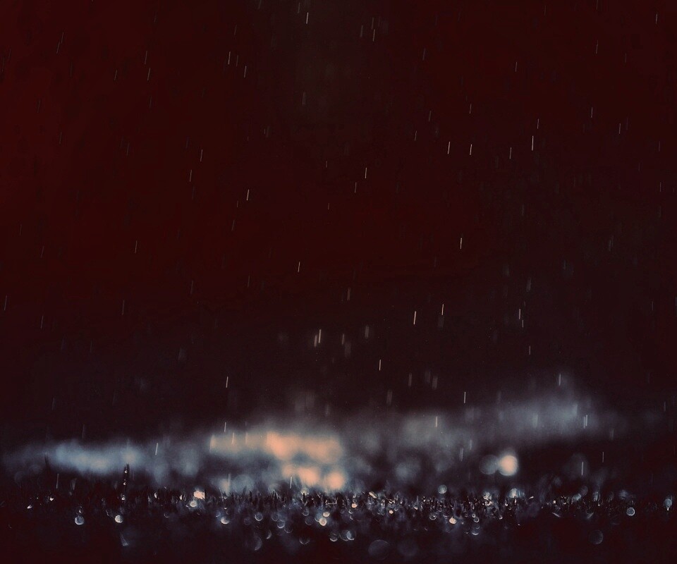 Макро фото дождя обои