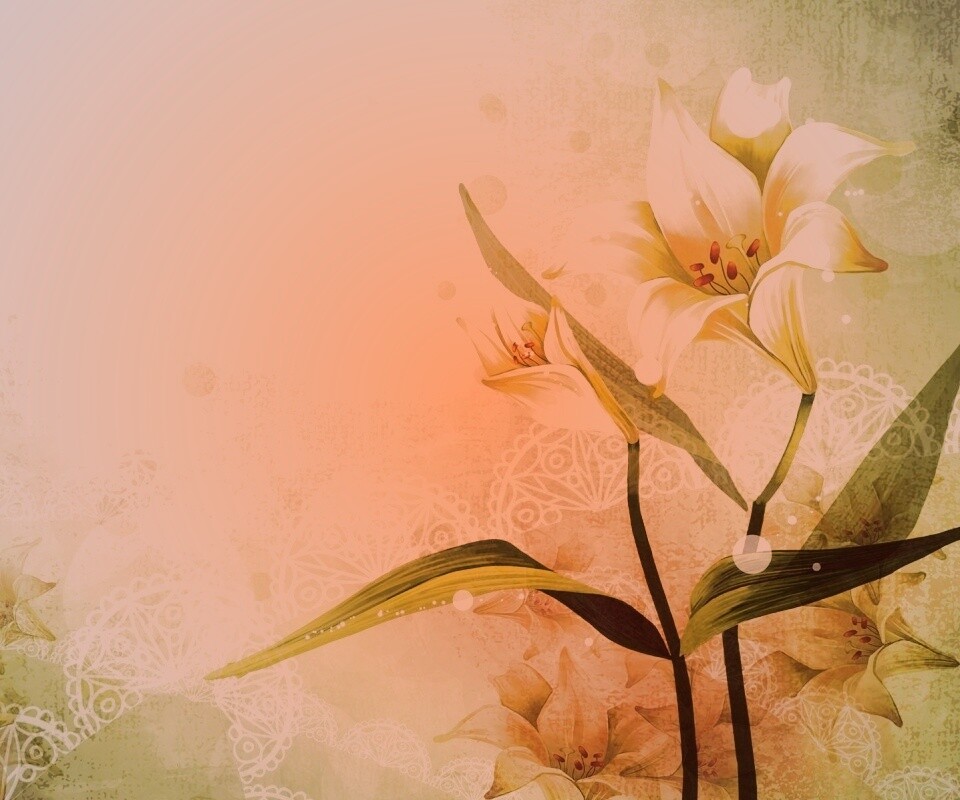 Красивое изображение лилии обои