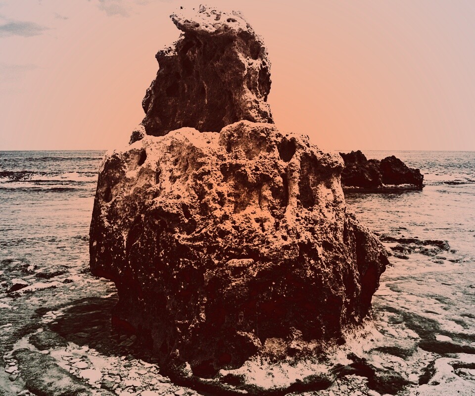 Коралловый риф обои