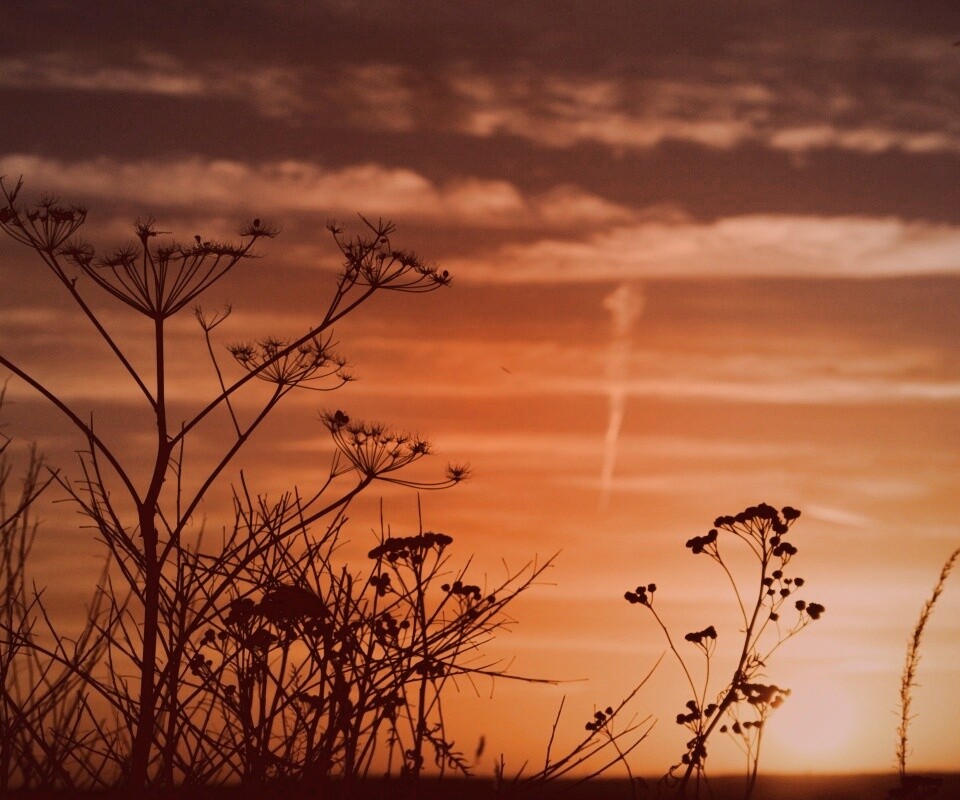 Степной закат обои