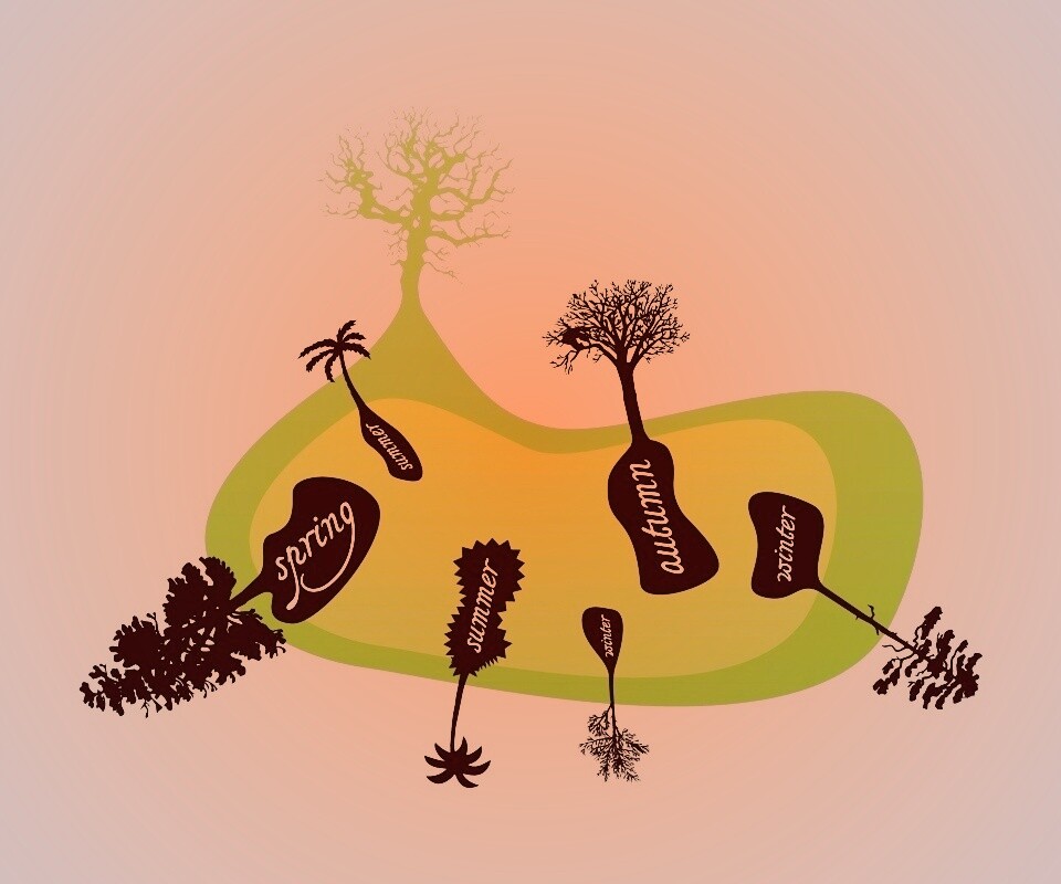 Деревья времен года обои